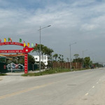Bán đất đấu giá xuân lê - đại áng, dt; 99m/zá 6,65tỷ, siêu rẻ cho nhà đầu tư,