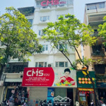 Toà nhà mặt tiền khủng - vị trí đắc địa vỉa hè rộng kinh doanh các loại mô hình. cần bán gấp