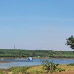 Bán vườn 8128m2 view hồ sinh thái ngay sân bay long thành giá siêu rẻ