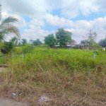 Tôi chính chủ bán đất ở xã hưng long, bình chánh 180m2, shr đầy đủ, 800triệu