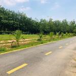 Bán đất tân định, bến cát, bình dương ,giá 7tr m2