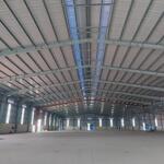 Cho thuê kho xưởng trong kcn phú mỹ, brvt dt 5500m2; 9440m2; 18.800m2; 30.000m2