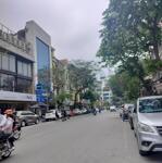 Bán nhà 44m2 phố giang văn minh, lô góc, ngõ thông, vừa ở vừa kinh doanh chỉ 10.x tỷ