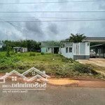 Ai quan tâm đất sạch đất đẹp bình phước gọi tôi, đang có miếng đất đẹp cần bán