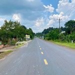đất thổ cư giá tốt bình long, bình phước