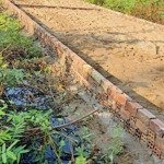 Bán giá gốc lô đất kđt cát tường wp1, 980tr, 84m2