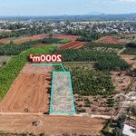 Lô đất 24m mt hấp dẫn trung tâm xã bình trung, châu đức