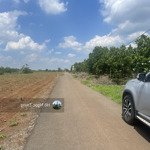 Bán đất cẩm đường, long thành, đồng nai đối diện khu thương mại sân bay giá 3tyxx giá tốt khu vực