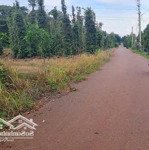 Gần 500m2 đất thị trấn ngãi giao. đường nhựa, khu dân cư. phủ hồng hết đất