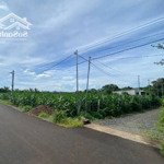 Bán đất mặt tiền nhựa ngãi giao thích hợp làm nhà vườn