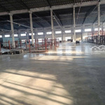 Cho thuê xưởng 10.000m kcn mỹ phước pccc tự động, trạm điện 630kva, vào sản xuất ngay