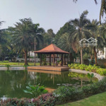 Bán biệt thự khu nam thông - phú mỹ hưng - quận 7