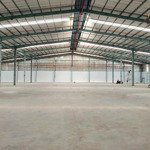 Cho thuê kho rộng rãi, có văn phòng riêng tại bình dương