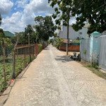 Bán lô đất 100m2 thổ ngay phú đông, nhơn trạch, đn. chỉ nhỉnh 7 tỷ