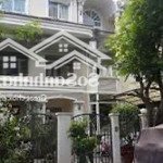 Cho thuê căn mỹ phú 2, tân phú, q7