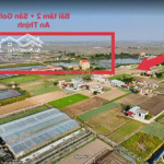 Thị trường biển quất lâm sốt, nhà tôi tranh thủ bán đất giá rẻ hơn thị trường 2 giá