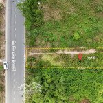 Bán đất mt phạm thái bường, 11,4 tỷ, 481m2, nhơn trạch, đồng nai, hàng hiếm có sẵn 250m thổ cư