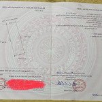 2 lô đất đẹp giá tốt tổ dân phố hoàng lâu, phường hồng phong,quận an dương, hải phòng