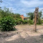 Bán đất 43200 m2 tại quốc lộ 62 mặt tiền 30m, tân thạnh, long an, giá 2tr250/m2, pháp lý đầy đủ