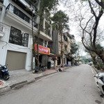 Bán nhà phố đặng xuân bảng - bắc linh đàm 78m2 nhỉnh 24tỷ