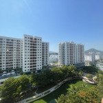 Nhiều căn ct3 vĩnh điềm trung nha trang chủ thiện chí bán chỉ từ 2,45 tỷ, căn góc 3,25 tỷ