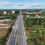 Hàng hiếm - đất chính chủ ngay nguyễn hữu cảnh, phú hội, nhơn trạch, đồng nai, 27,425 tỷ, 1097m2
