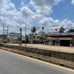 Bán đất tại xã xuân phú, xuân lộc, đồng nai, 171 m2- ngang 6,49m dài 26,35m thổ cư sổ riêng