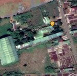 Chính chủ cần bán gấp nhà xưởng đambri, bảo lộc