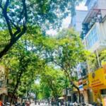 Mảnh đất vàng đội cấn tt ba đình sót lại 75m , mt 5m 15,75tỷ