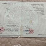 Bán đất mặt đường xã ninh sơn, tp thủy nguyên 150m2 kinh doanh buôn bán giá chỉ 1,26 tỷ