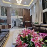 (duplex) bán chung cư hà đô park view 310m 4pn giá 18 tỷ đẳng cấp slot oto gần cv cầu giấy