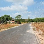 Bán lô đất 184m2 có 60 thổ cư, ngang 7m, khu phố 3 hắc dịch, phú mỹ gần khu 450ha - giá bán 1,3 tỷ