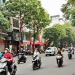Hoa hậu..! phố huế giá đầu tư 160m2* 8 tầng* mặt tiền 5.5m, thang máy, giá chào chỉ 119 tỷ.