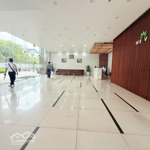 Bán chung cư cao cấp hà đô parkside, 310m2, 5pn, 6wc chỉ với giá tốt ở dịch vọng, cầu giấy, hà nội