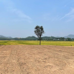 đất xây vườn view cánh đồng, 1000m2 có 100m2 đất ở gần đường dh2 xã hòa nhơn