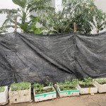 125m; mt7m; đất tđc giang biên, vị trí đẹp nhất, vỉa hè rộng, đường 13m: hơn 20 tỷ