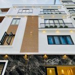 Bán nhà riêng tại đoàn giỏi, tân phú, hcm, 2,95 tỷ, 63m2, hàng hiếm giá cực chất