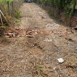 đất thị trấn hậu nghĩa, xã tân mỹ, đức hòa, long an, 195m2, sổ hồng riêng