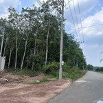 Cần bán đất skc 9922m2 tại phước hoà phú giáo bình dương