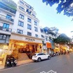 Bán nhà mặt phố tuệ tĩnh, dt 100m2 x 10 tầng, mặt tiền 9.5m, bên thứ 3 thầu 200 tr/ th.