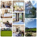 Cần bán căn apartment 6 phòng + lô đất view lúa bên cạnh dòng tiền ổn định vị trí đẹp hội an