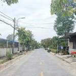 [3Ty2] Bán Ngộp Đất Xuân Thới Sơn Hóc Môn, Gần Trường Thcs Xuân Thới Thượng. Sở Hữu 120M2, Shr