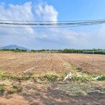 Chủ ngộp cắt lỗ 50% bán đất 8663m2 có 166m mặt tiền đường hẻm ô tô tại xuân bảo, cẩm mỹ, đồng nai