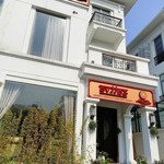 Bán gấp biệt thự đẹp xuất sắc tại huỳnh văn nghệ, long biên, 83 tỷ, 180m2, full nội thất 5 sao