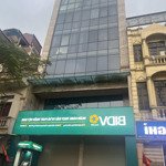Bán nhà mặt phố hòa mã , 150m , 8 tầng , 8m mặt tiền , giá chỉ 95 tỷ dòng tiền cao , vỉa hè rộng