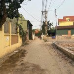 Bán đất tại xã hồng vân, thường tín, hà nội, 56 triệu / m2, 80 m2