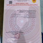 Bán Đất Tại Xã Bát Trang, An Lão, Hải Phòng, 1,05 Tỷ, 93 M2, View Đẹp Gần Cổng Phụ Kcn Tràng Duệ 3
