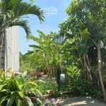 Bán Đất Kế Vinhomes Đường 21 Nguyễn Xiển Phường Long Thạnh Mỹ Q9 Diện Tích 68M2 Có Sổ Hồng Riêng