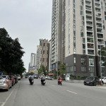 Bán Nhà Phố Nguyễn Khang,Phân Lô Ô Tô Tránh Dừng Đỗ,Vị Trí Siêu Đẹp- Diện Tích: 65M 5T-Mt7M- Giá Bán 23.1 Tỷ