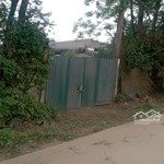 Chính Chủ Cần Tiền Muốn Bán Nhanh Mảnh Đất Đẹp Lực Canh, Xuân Canh, Đông Anh, Hà Nội. Ngoài Đê